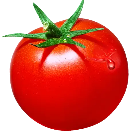 Помидоры